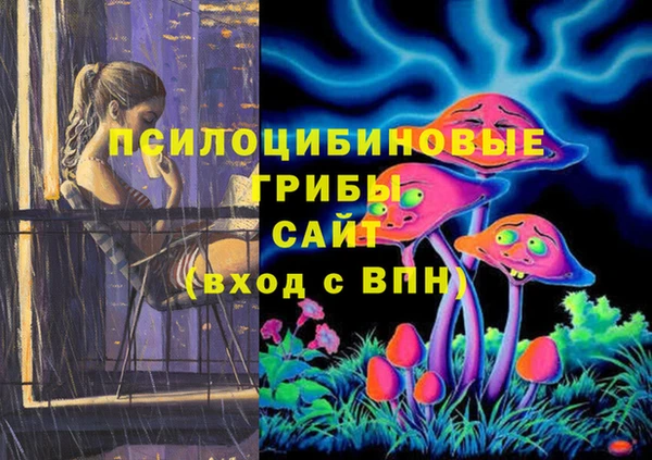марки lsd Алексеевка